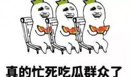 吃瓜群众乐园,全民娱乐狂欢的奇幻世界