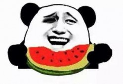 吃瓜群吃瓜群众狗,揭秘吃瓜群众的趣味生活与狗界奇闻