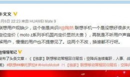 吃瓜群众犀利点评联想,联想的崛起与争议