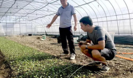 吃瓜群众国庆快乐,吃瓜群众共庆欢乐时光