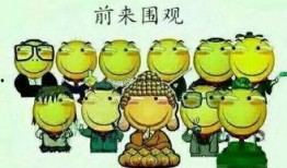 吃瓜群众与酱油,揭秘网络舆论场的调味之谜