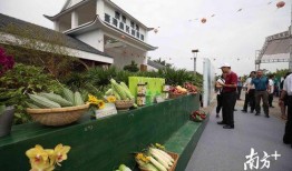 东湖公园吃瓜群众是谁啊,他们是谁？为何成为焦点？