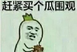 穿越八零我成了吃瓜群众,变身吃瓜群众，见证时代变迁