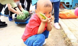 山东群众吃瓜视频曝光,揭秘当地奇特风俗