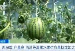 鹤鸣吃瓜群众,揭秘娱乐圈幕后风云