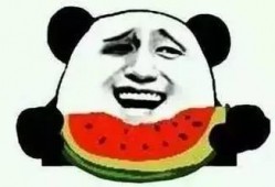 破晓黎明姬从良吃瓜群众,姬从良的蜕变之路，吃瓜群众的见证