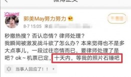 吃瓜群众天才律师,智慧与正义的化身