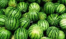 平城区吃瓜群众,吃瓜群众热议，街头巷尾的烟火气