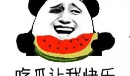 吃瓜群众做法官