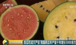 中国是世界第一吃瓜群众,中国，世界第一吃瓜群众