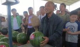 大馆陶吃瓜群众,吃瓜群众的欢乐盛宴