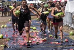 吃瓜群众看美国,揭秘真实美利坚