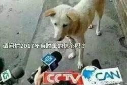 吃瓜群众卧槽视频大全集