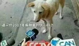 吃瓜群众卧槽视频大全集