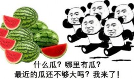 吃瓜群众没看到瓜,吃瓜群众为何没看到瓜背后的真相