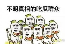 一个正经吃瓜群众,一场吃瓜群众的深度观察之旅