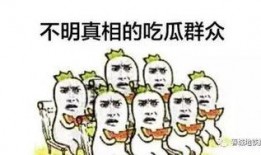 一个正经吃瓜群众,一场吃瓜群众的深度观察之旅