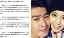 胖翻译变成吃瓜群众,一场身份转变的趣味之旅