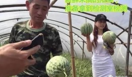 去夜市吃瓜群众怎么办,去吃瓜群众的欢乐指南