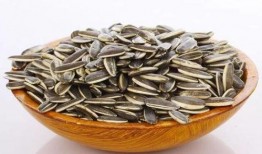 吃瓜群众准备瓜子