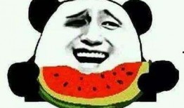 冕宁吃瓜群众事件始末,一场网络舆论的风波与反思