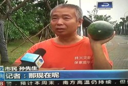 朝阳市吃瓜群众事件视频,网络围观下的社会现象解析