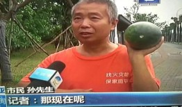 朝阳市吃瓜群众事件视频,网络围观下的社会现象解析