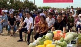 涪陵吃瓜群众事件最新消息,真相大白，网络热议背后的真相揭晓