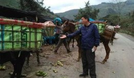 云南缅甸边境吃瓜群众外网,吃瓜群众视角下的跨境生活剪影