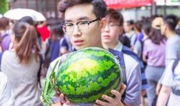 菊花茶吃瓜群众,吃瓜群众热议养生新风尚