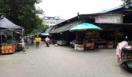 吃瓜群众流浪汉,吃瓜群众视角下的流浪汉生活