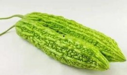 幸运的吃瓜群众6