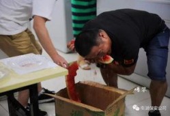 吃瓜群众小盆友是谁,网络红人的崛起之路