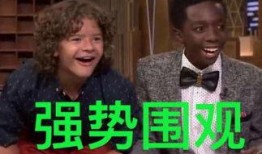 diss吃瓜群众的歌,揭秘网络舆论场的真实面貌