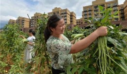 吃瓜群众山里生活,吃瓜群众的悠闲时光