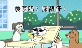 吃瓜群众2图片搞笑动画,爆笑动画，瓜田里的欢乐盛宴