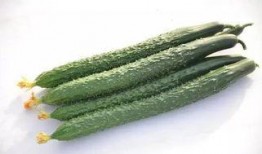 吃瓜群众买黄瓜视频大全,吃瓜群众热捧黄瓜视频大盘点