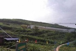 朱山吃瓜群众事件