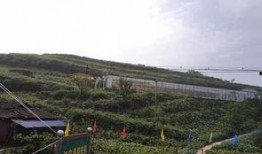 朱山吃瓜群众事件