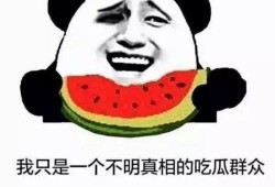 当起吃瓜群众怎么说,揭秘网络围观背后的故事