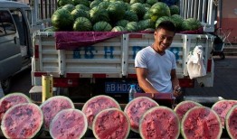 吃瓜群众沈阳,吃瓜群众眼中的城市风云录