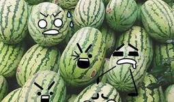 聪明吃瓜群众视频,短视频背后的趣味与智慧