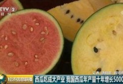 吃瓜群众一起吃大瓜,吃瓜群众共赴大瓜盛宴