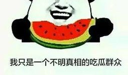 一个正经吃瓜群众,一场吃瓜群众的深度观察之旅