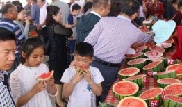 大馆陶吃瓜群众,吃瓜群众的欢乐盛宴