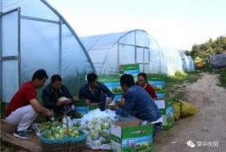 都昌吃瓜群众,揭秘当地独特饮食文化