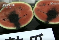 瓜友群众吃瓜视频,揭秘娱乐圈幕后风云