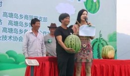 浙江谈恋爱二楼吃瓜群众,二楼吃瓜群众的热议瞬间