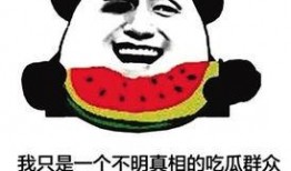 吃瓜群众一起吃大瓜,吃瓜群众共赴大瓜盛宴