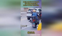 外卖小哥吃瓜群众完整版